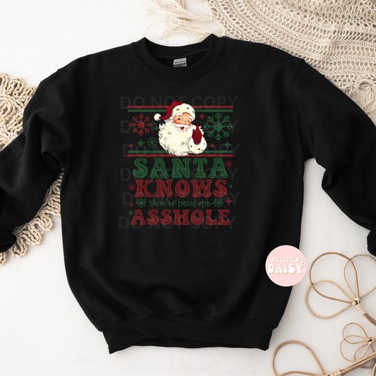 Santa knows you've been an asshole shirt/sweatshirt