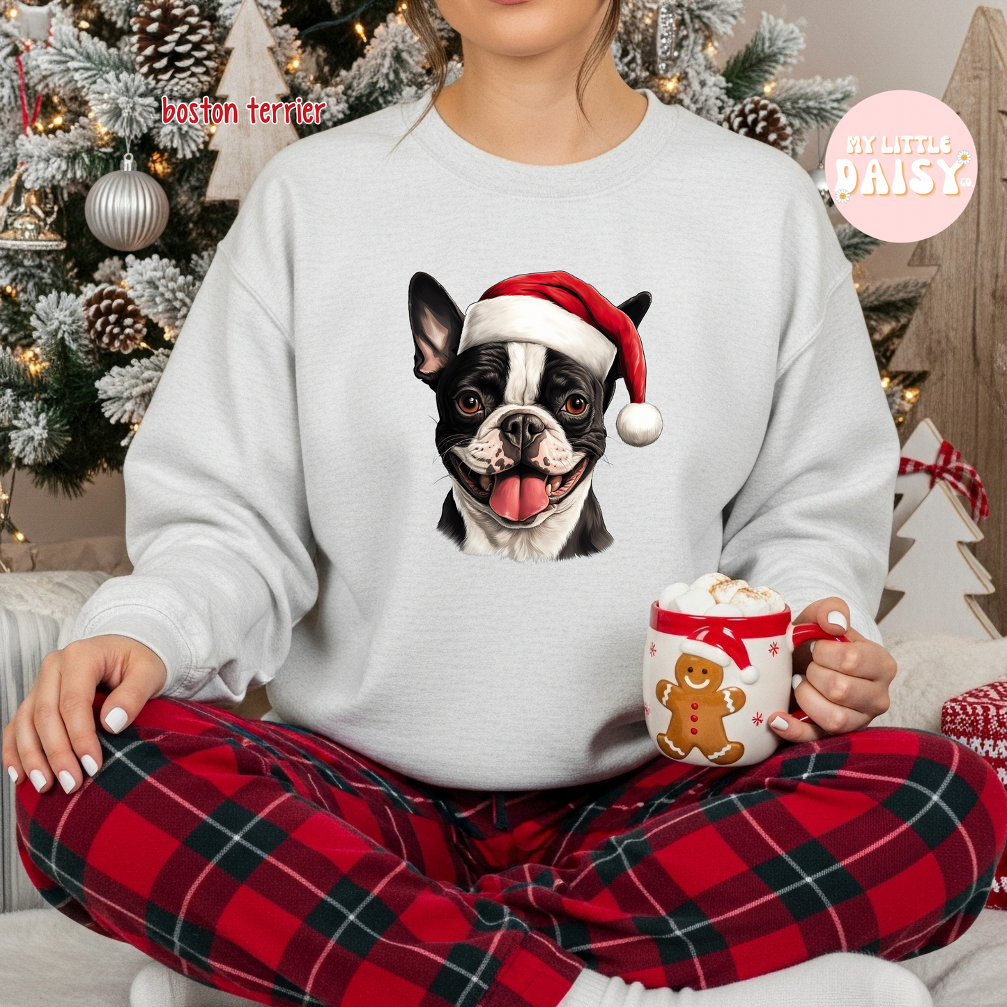 Christmas dog Santa hat sweatshirt