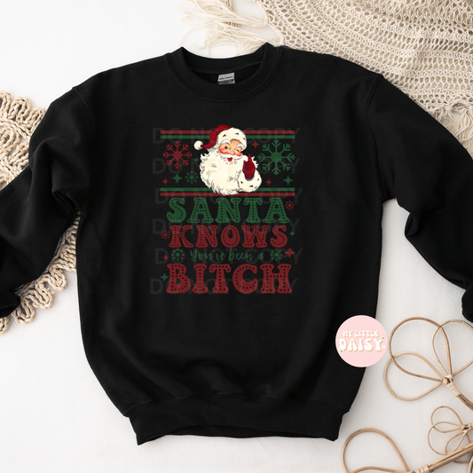 Santa knows you've been a bitch unisex shirt/sweatshirt