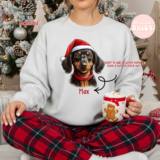 Christmas dog Santa hat sweatshirt